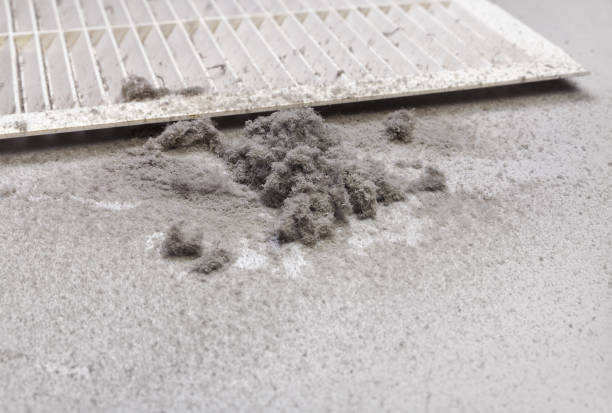 Air Duct Mold Removal in GA