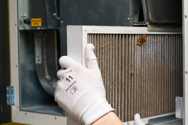 Best Air Duct Cleaning Near Me  in Homer, GA