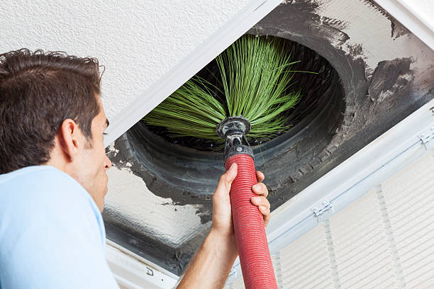 Best Affordable HVAC Duct Cleaning  in Homer, GA